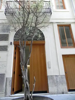 a tree in front of a building with a door at Catalina Suites Apartments Downtown Valencia in Valencia