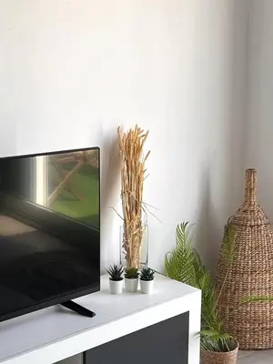 a tv sitting on top of a white cabinet with plants at Alojamiento en Losa del Obispo in Losa del Obispo