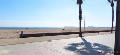 a shadow of a palm tree on a beach at Sunny&Beach in Valencia in Valencia