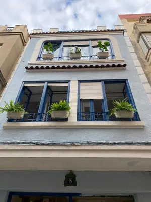 a building with three windows with potted plants on it at Alzira bonita Loft C junto plaza mayor, Les Muralles in Alzira