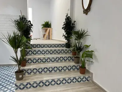 a set of stairs with potted plants on them at Alzira bonita Apartamento D junto a Plaza Mayor, Santa Catalina in Alzira