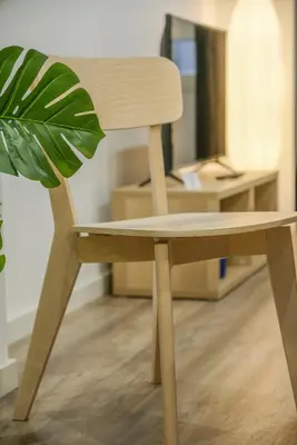 a wooden chair in a room with a plant at Apartment with Open-air Space in Valencia