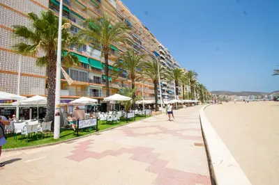 a beach with palm trees and chairs and a building at PRIMERISIMA LINEA DE PLAYA - CULLERA BAHIA DE LOS NARANJOS I in Cullera