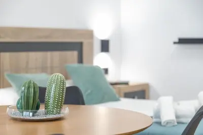 a wooden table with a cactus on top of it at Travel Habitat La Marina Real in Valencia
