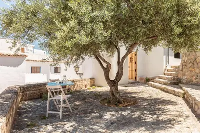 a table and chair under a tree in front of a house at La casa alta in Sagunto