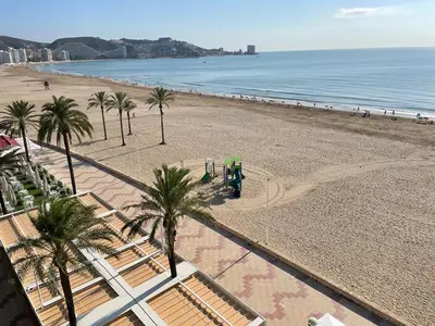 an overhead view of a beach with palm trees and the ocean at Primera línea en Cullera con piscina. Inmejorables vistas in Cullera