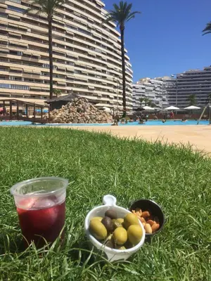 a bowl of fruit sitting on the grass near a beach at Florazar 2 Cullera in Cullera