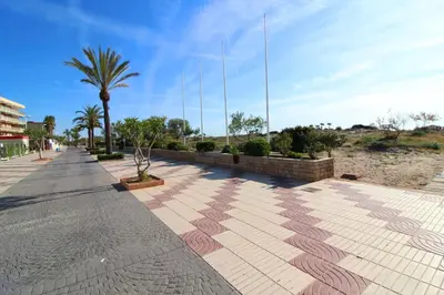 a sidewalk with a palm tree and a building at Global Vacacional, Apartamento con vistas al mar, Canet d'en Berenguer in Canet de Berenguer