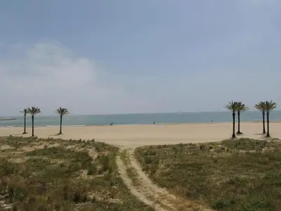 a sandy beach with palm trees and the ocean at ACOGEDOR ADOSADO entre mar y montaña in Cullera