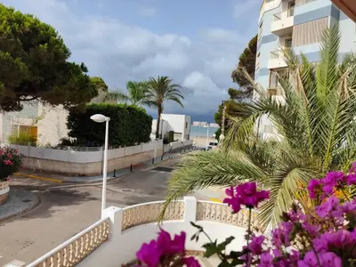 a view of a street with palm trees and purple flowers at CHALET VILLA Los HIPOCAMPOS in Cullera