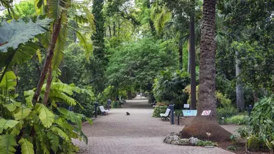 a walkway in a park with benches and trees at Luxotica Gardens Valencia in Valencia