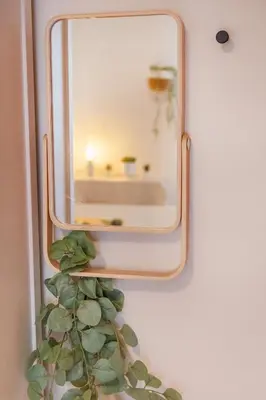 a mirror hanging on a wall with a plant at Luxotica Gardens Valencia in Valencia