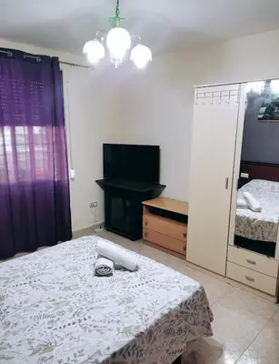 a bedroom with a bed and a television in it at Habitación CID in Valencia