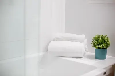 a stack of towels and a plant on a counter at Center City Flats in Valencia