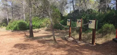 a group of signs on a dirt road at La Chirrichana in Bicorp