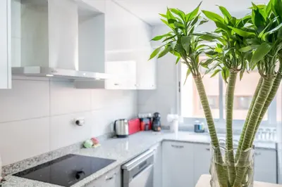 a kitchen with a vase with a plant in it at Apartamento Familiar en Avenida del Puerto in Valencia