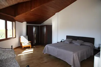 a bedroom with a large bed and a wooden ceiling at Casa Genes Chera in Chera
