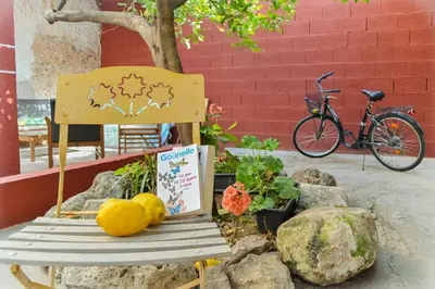 a bench with a book and pumpkins on it next to a bike at Casa Bienvenida - Carcaixent in Carcagente