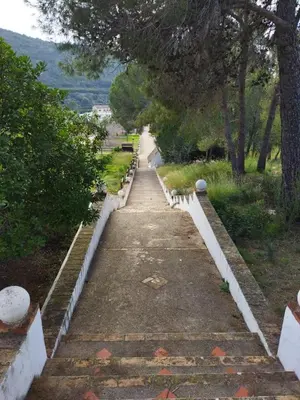 an empty road with trees on the side at Casa Bienvenida - Carcaixent in Carcagente