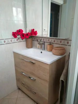 a bathroom sink with a mirror and red flowers on it at Vacansis Pintor Sorolla 2 in Cullera