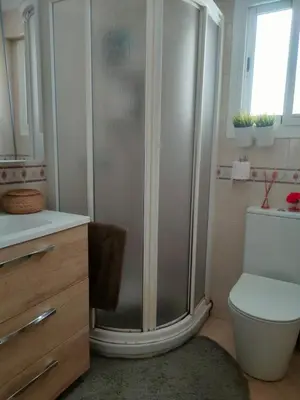 a bathroom with a shower and a toilet at Vacansis Pintor Sorolla 2 in Cullera