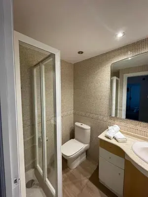 a bathroom with a toilet and a sink and a mirror at Jardines del Turia in Valencia