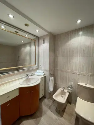 a bathroom with a sink and a toilet and a mirror at Jardines del Turia in Valencia