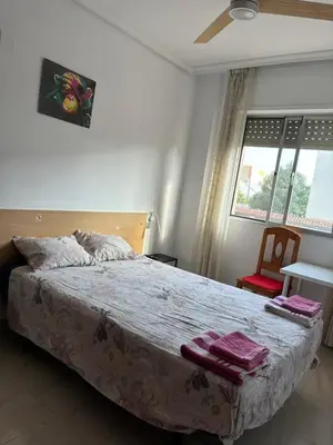 a bedroom with a bed with a cat laying on it at CA LAU in Burriana