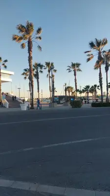 a street with palm trees and a person walking down the street at Lyesblb in Valencia