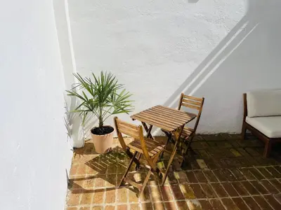 a table and two chairs and a table and a plant at Casa Valenciana con Terraza in Valencia