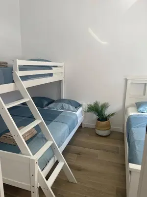 a bedroom with two bunk beds and a potted plant at UIM Mediterraneo PB Luis Vives Wifi in Puerto de Sagunto