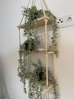 a hanging plant rack with potted plants on it at UIM Mediterraneo PB Luis Vives Wifi in Puerto de Sagunto