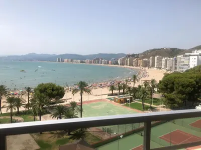 a view of a beach with palm trees and the ocean at Cullera - Florazar II con piscina, tenis y club social in Cullera