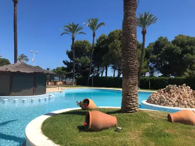 a large swimming pool with a fake animal in the grass at Cullera - Florazar II con piscina, tenis y club social in Cullera