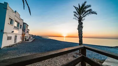 a palm tree on the beach with the sunset at Nuevo apartamento en playa con aire acondicionado MASBO 3 in Moncófar