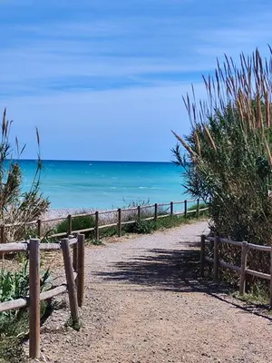 a dirt path to the beach with a fence at Acogedor apartamento en el grau de Moncofa con wifi in Moncófar