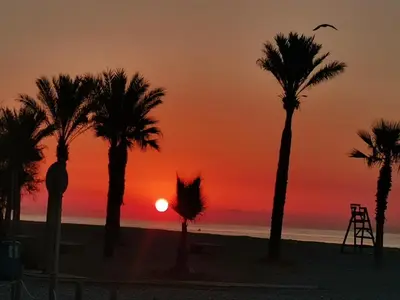 a sunset on the beach with palm trees at Acogedor apartamento en el grau de Moncofa con wifi in Moncófar