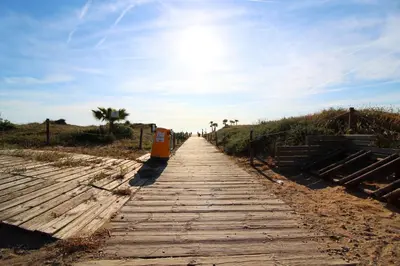 a wooden boardwalk leading to a beach with palm trees at Global Vacacional, apartamento cerca del mar en Canet in Canet de Berenguer