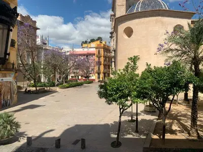 a city street with trees and a building at Plaza del Carmen Boutique in Valencia