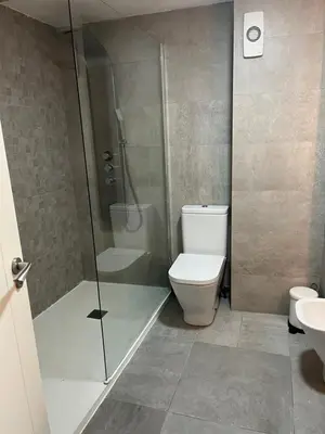 a bathroom with a shower and a toilet and a sink at Plaza del Carmen Boutique in Valencia
