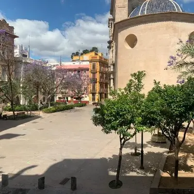 Plaza del Carmen Boutique