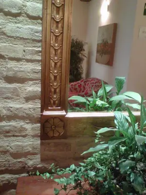 a mirror in a room with some plants at Ad Hoc Monumental 1881 in Valencia