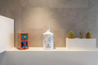 a shelf with two plants and a bottle on it at PENTHOUSE on the BEACH in Valencia