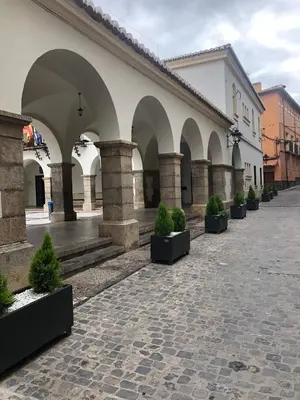a courtyard with a row of potted plants in a building at Casa Puri in Jérica