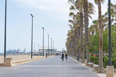 a sidewalk next to the beach with palm trees at Malvarrosa Las Arenas II in Valencia