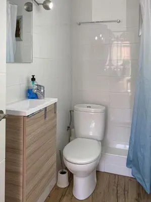 a bathroom with a toilet and a sink and a shower at Vlc Center 4 Room Apartment in Valencia