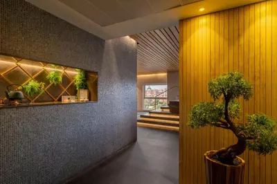 a hallway with a plant in a pot next to a wall at SH Valencia Palace in Valencia