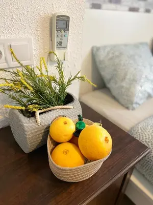 a basket of oranges on a table in a living room at Hostal Orange Vibes in Paterna