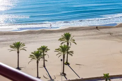 a view of a beach with palm trees and the ocean at Florazar Apartment Cullera Beachfront in Cullera