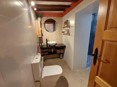 a bathroom with a toilet and a sink at Ca La Abuela in Requena